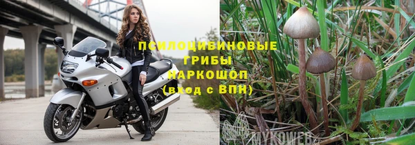 МДПВ Кукмор