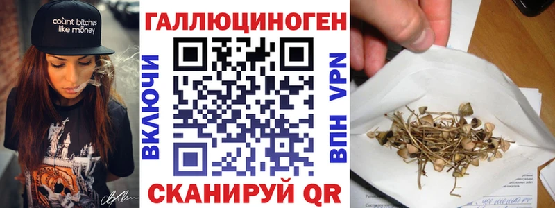 Псилоцибиновые грибы Psilocybine cubensis  Купить где  Вятские Поляны 