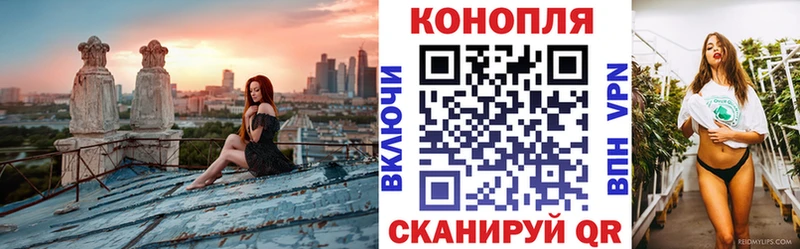 Купить закладки  Вятские Поляны  Каннабис VHQ 
